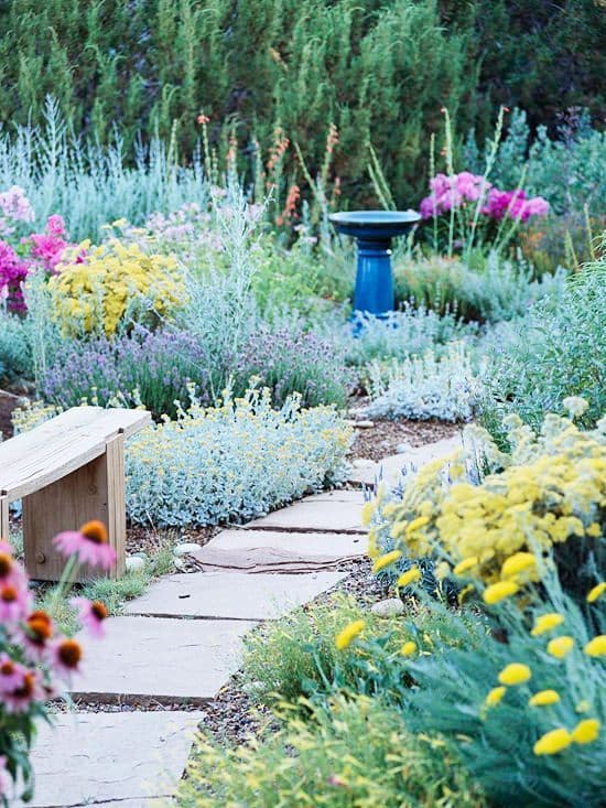 A gravel path winding between flowering water-wise plants